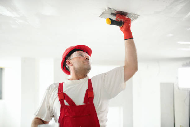 Best Mold Removal for HVAC Installations  in Marathon, FL